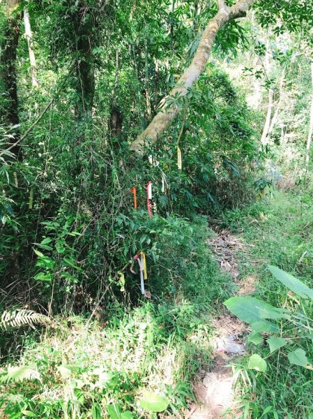 09/20白雲山幾乎無路線爬山體驗443621