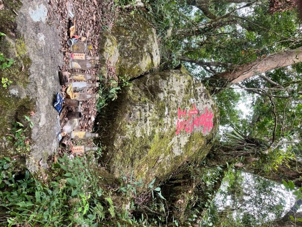 20251013_都蘭山（台東小百岳）2941328