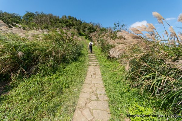 風櫃嘴-頂山-石梯嶺步道740881