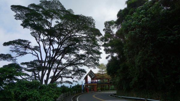 難得滿水位的曾文水庫+海上大埔湖濱公園2305120