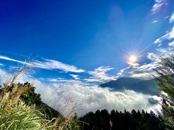 【新聞】太平山夏日雲海 遊客驚呼美翻了