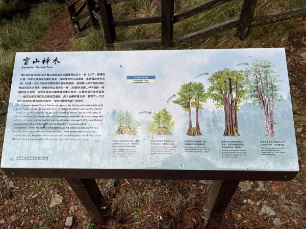 大雪山森林遊樂區2737495