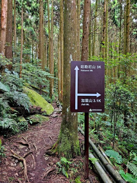 小百岳集起來-加里山2185853