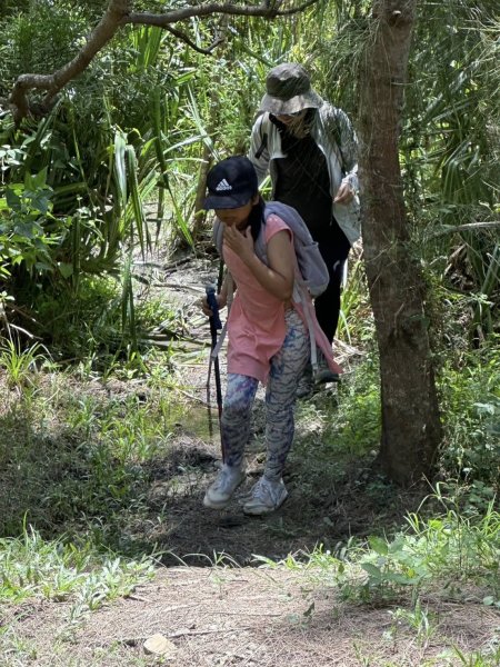 20250811小百岳大山母山2858836