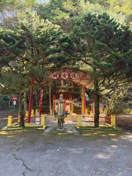 船型山林道賞雲海、烏石坑山、2432峰 山景海景一次到位2929278