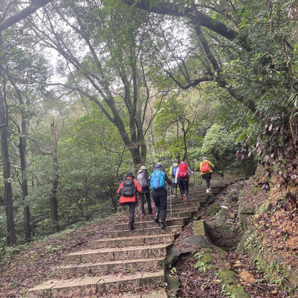 1131225新山夢湖2676506