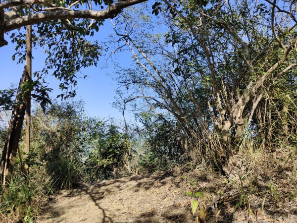 2023.12.24 旗尾山2838049