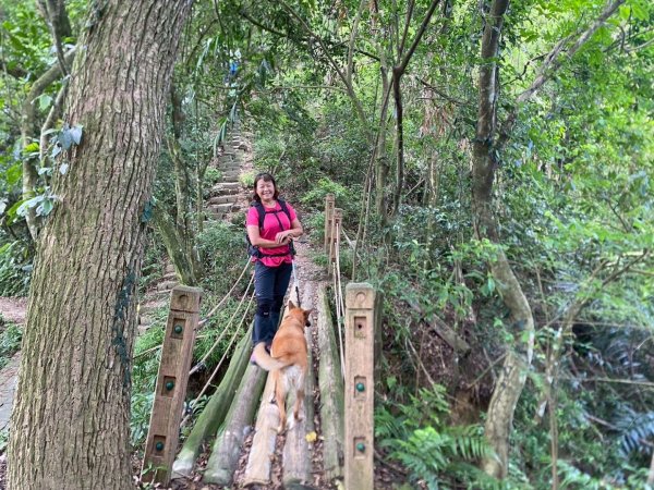 苗栗縣獅潭鄉鳴凰古道O型縱走2803686