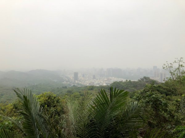 2020.04.02北柴山900684