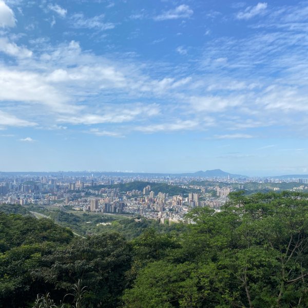 貓空1305365