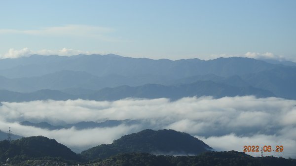 石碇二格山雲海流瀑+十三股山(永安社區)+獵狸尖(梅樹嶺山706M)8/271824905