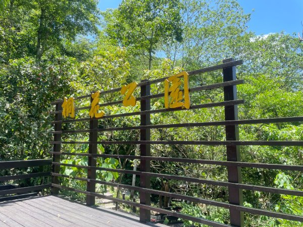 微笑山⛰️線-大棟-二格山-五分山-天上山-鳶山💎12條步道完成💙2837238