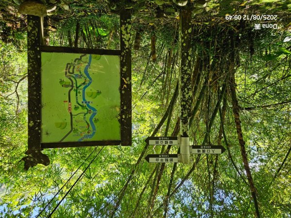 福山大羅蘭溪>古圳步道>黃金水岸2858970