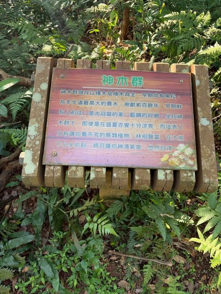 新北 林口 森林步道3015282