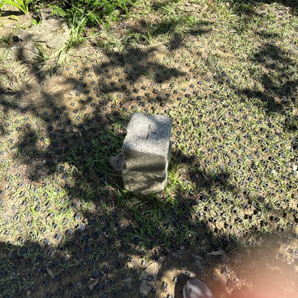 20251109 烘爐地登山步道(小百岳-南勢角山)2969103