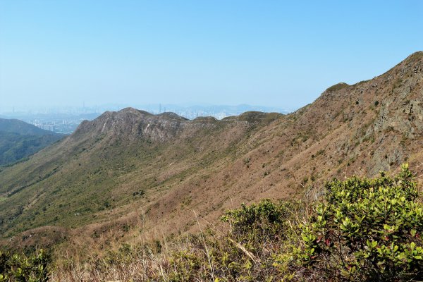 HK - 觀音脊、八仙嶺1465877
