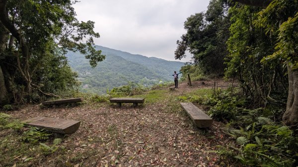 115.04.11啦卡步道-大刀山之旅3034651