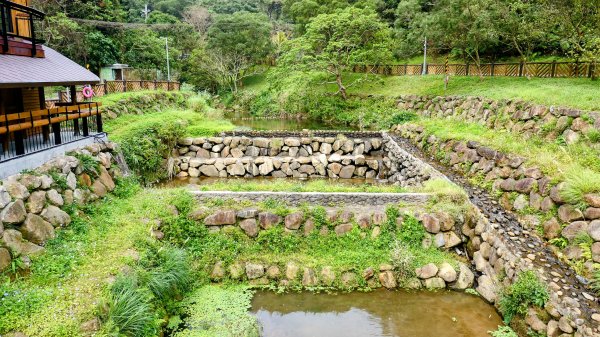 《臨江仙・碧山巖櫻花》2714212