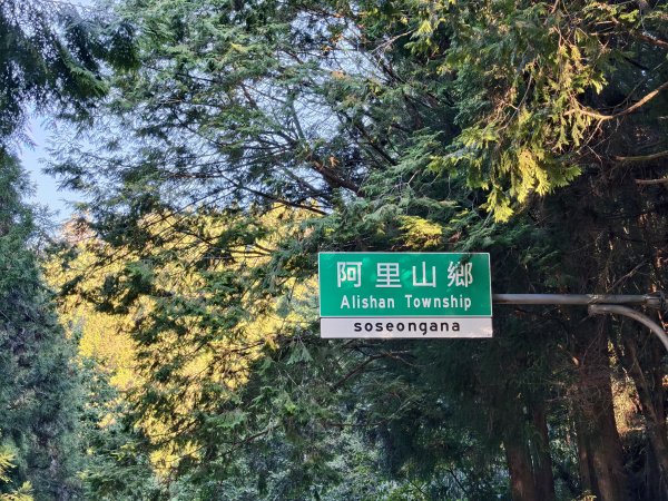 [百山百鳥尋旅-12/15] 2025_0928 特富野古道2899585