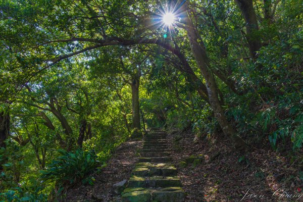 [台北]紗帽山2956584