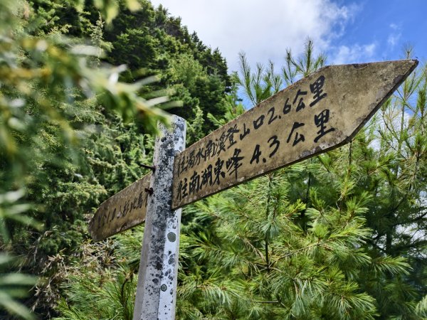 北一段(10/14)馬比杉山 2025_0906~132887138