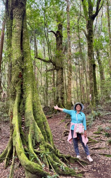 清泉 雪霸農場 野馬瞰山2925938