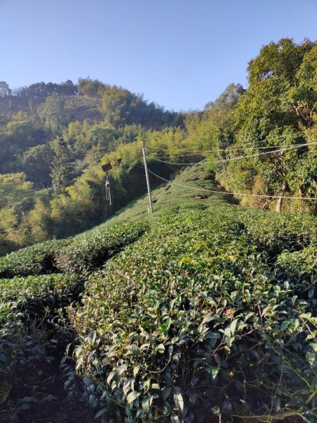 太平老街，大籠頂山，奉天岩，獨立山（嘉義竹崎）2235573