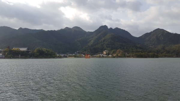 【日本】宮島一日遊。嚴島神社。彌山登山步道1437332