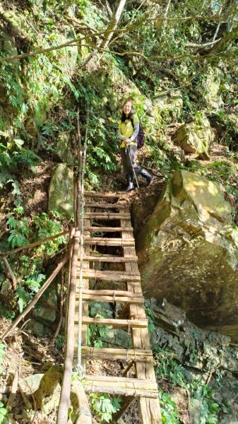 泰安鳥嘴山~上島山202411092645338