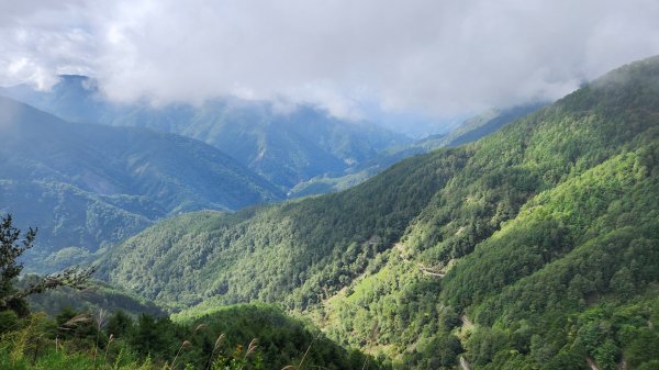 玉山前峰，關子嶺大凍山，宜蘭拳頭姆自然步道2313381