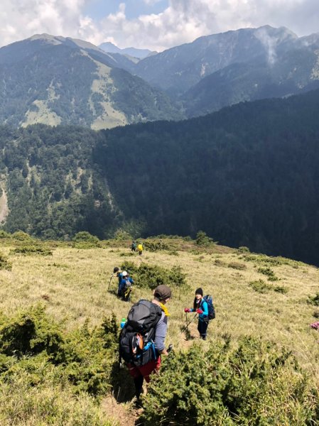 合歡山五座百岳賞杜鵑花587110