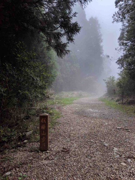 觀霧榛山登山步道912663