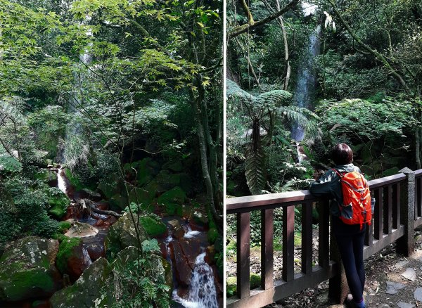 走遍陽明山：擎天崗系｜景遠心自闊，潺潺溪水聲洗去一身憂2113817