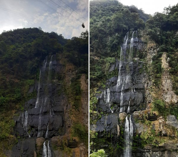 百大必訪步道 蕨類天堂 森林癒1823924