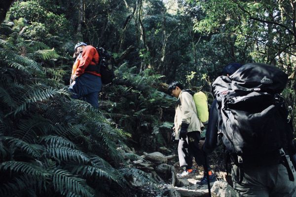 作伙來去北大武304401