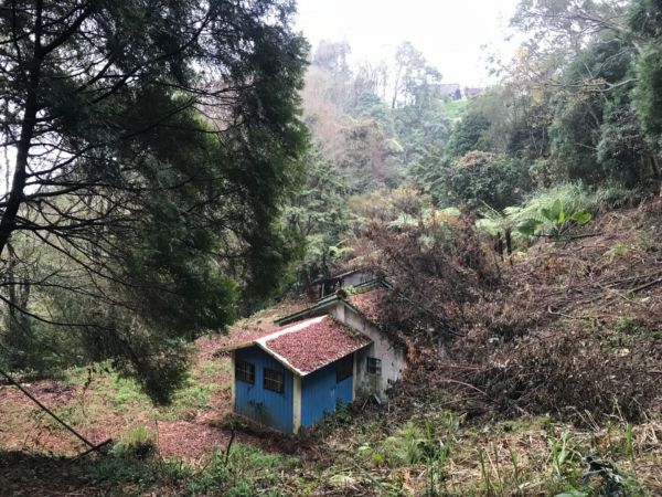 丸田砲台遺址步道276323