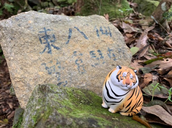 20200822台中和平東八仙山、至八仙山2544037