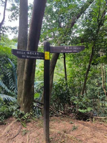 20250824鳶山彩壁2868550