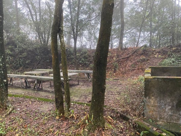 苗栗三義-三員縱走2616444