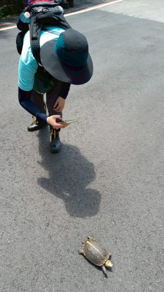 基隆情人湖老鷹岩大武崙-槓子寮2782587