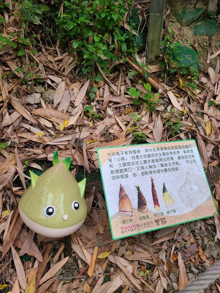 大坑10號提前修好啦(10號上+6號+7號下)2753637