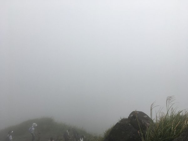 20190913-七星山主東峰678325