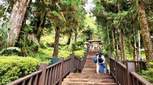 太平山森林遊樂區，檜木原始林步道，九寮溪自然步道，戈霸瀑布，開眼崙登山步道1859627