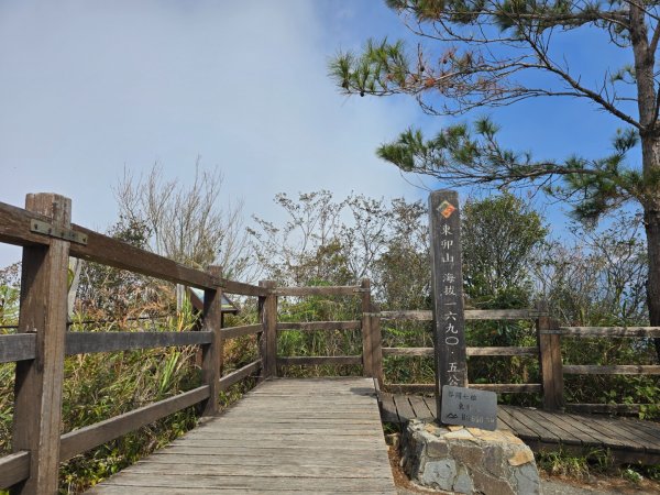 東卯山／東卯山西峰+賞山櫻花2715993