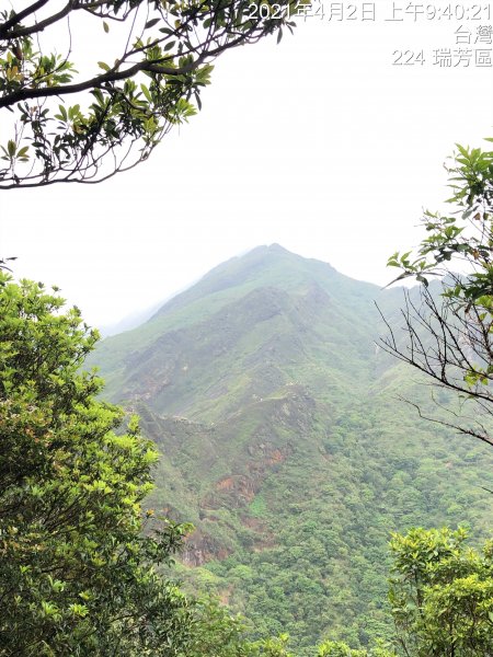 【北台灣郊山之王「瑞芳劍龍稜」 攀爬峭壁岩稜翻山越嶺驚險行】1337537