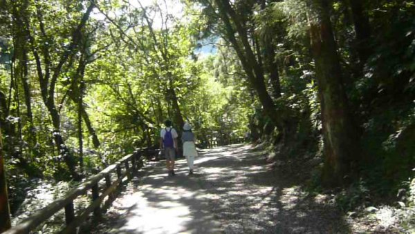 山林美境：滿月圓國家森林遊樂區處女瀑布1116096