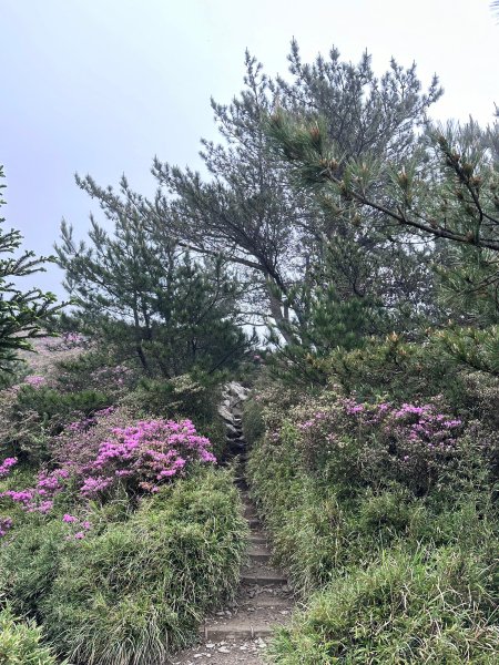 風雨中完成合歡北峰登頂2515348