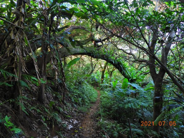 新北 土城 文筆山1422364