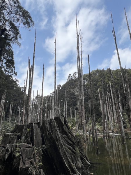 小百岳-金柑樹山2717260
