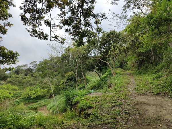 2024.03.24 飛鳳古道2908489